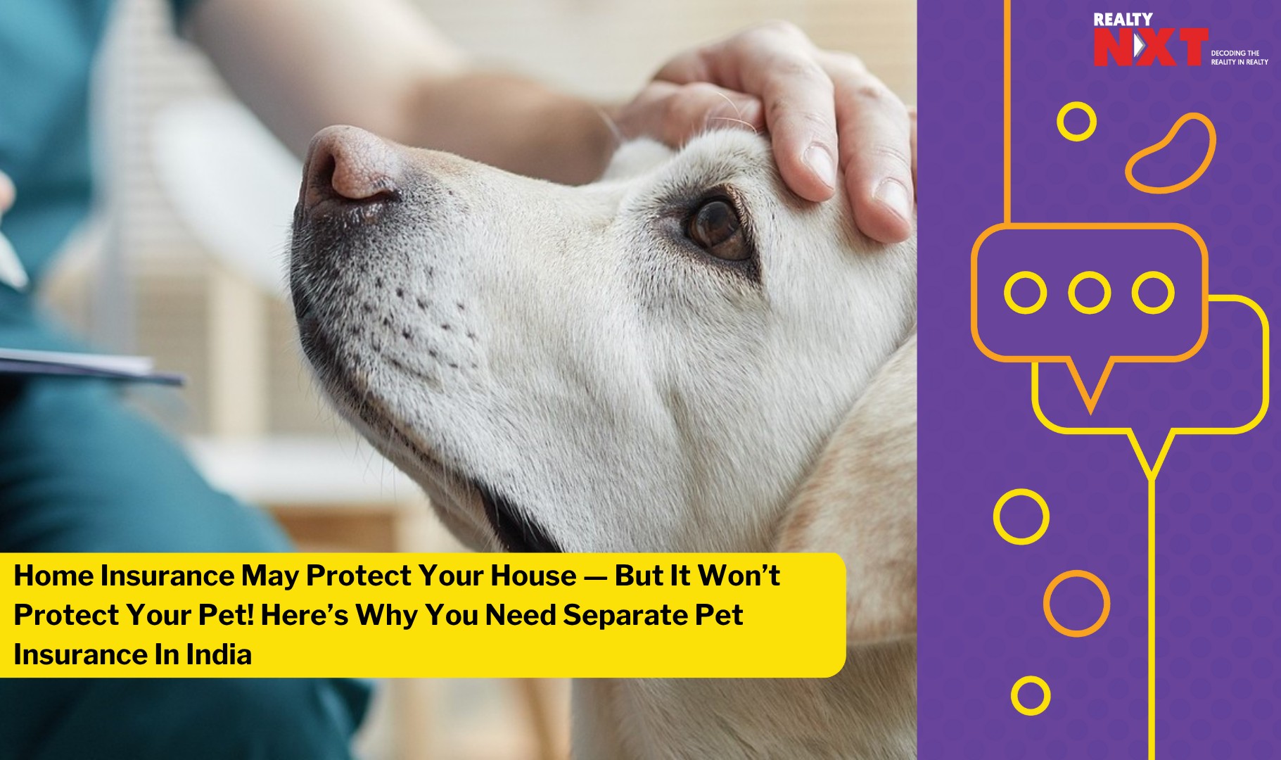 How to Protect Your Pets with Insurance