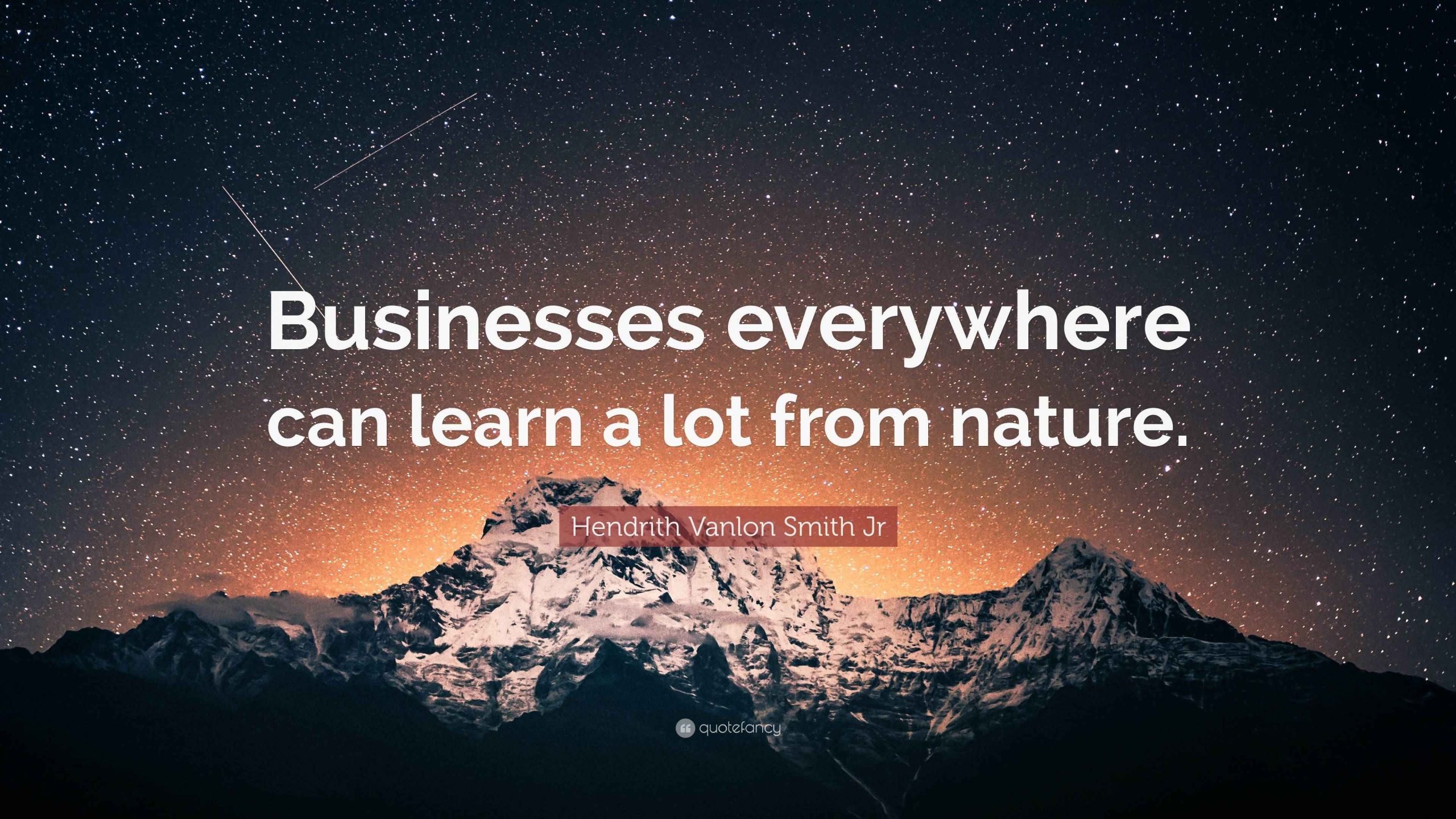 What Business Can Learn from Nature