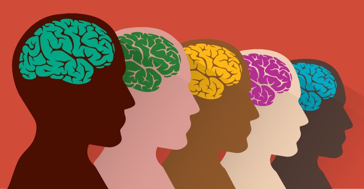 Understanding the Learner’s Brain